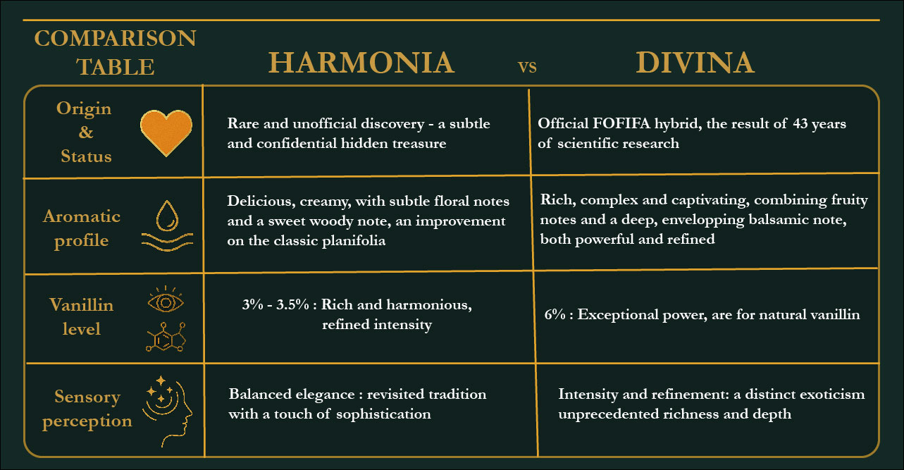 Production artisanale et durable de vanille Tahifolia premium à Madagascar